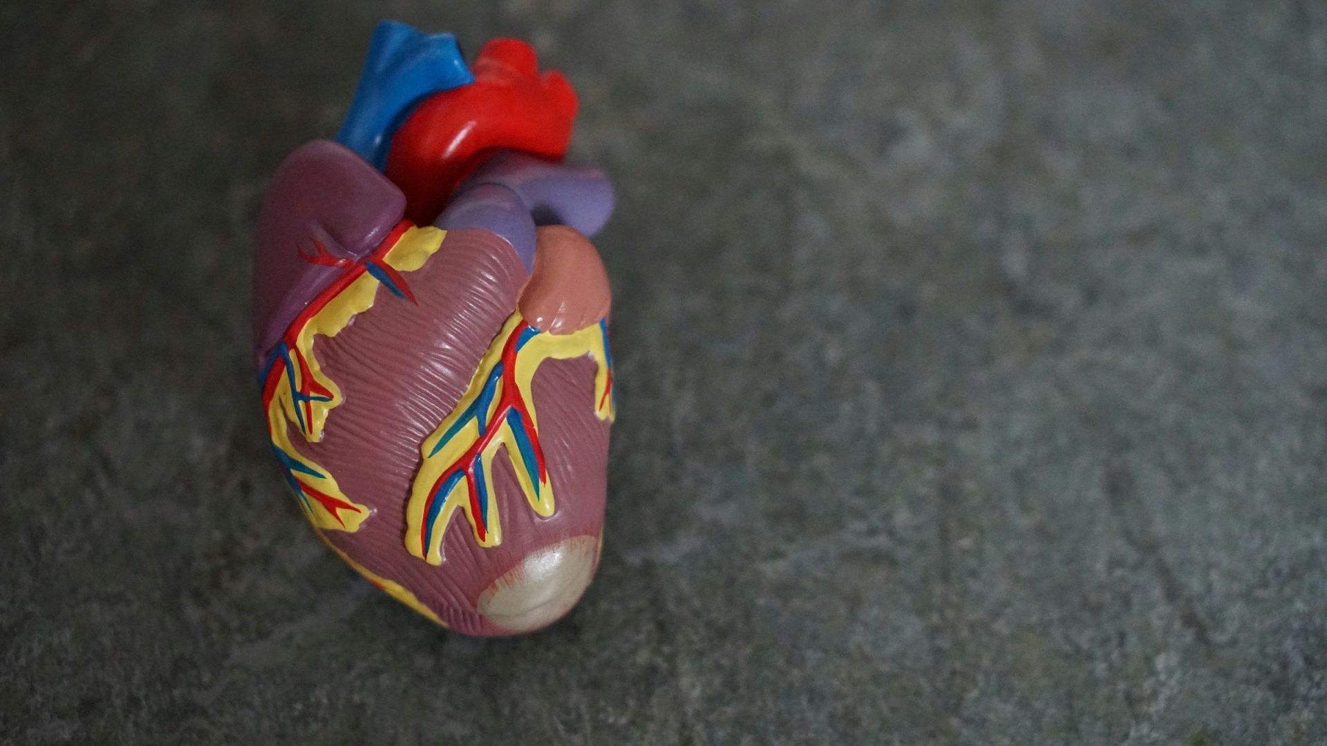 Cholesterol (Image via Unsplash/Robina)